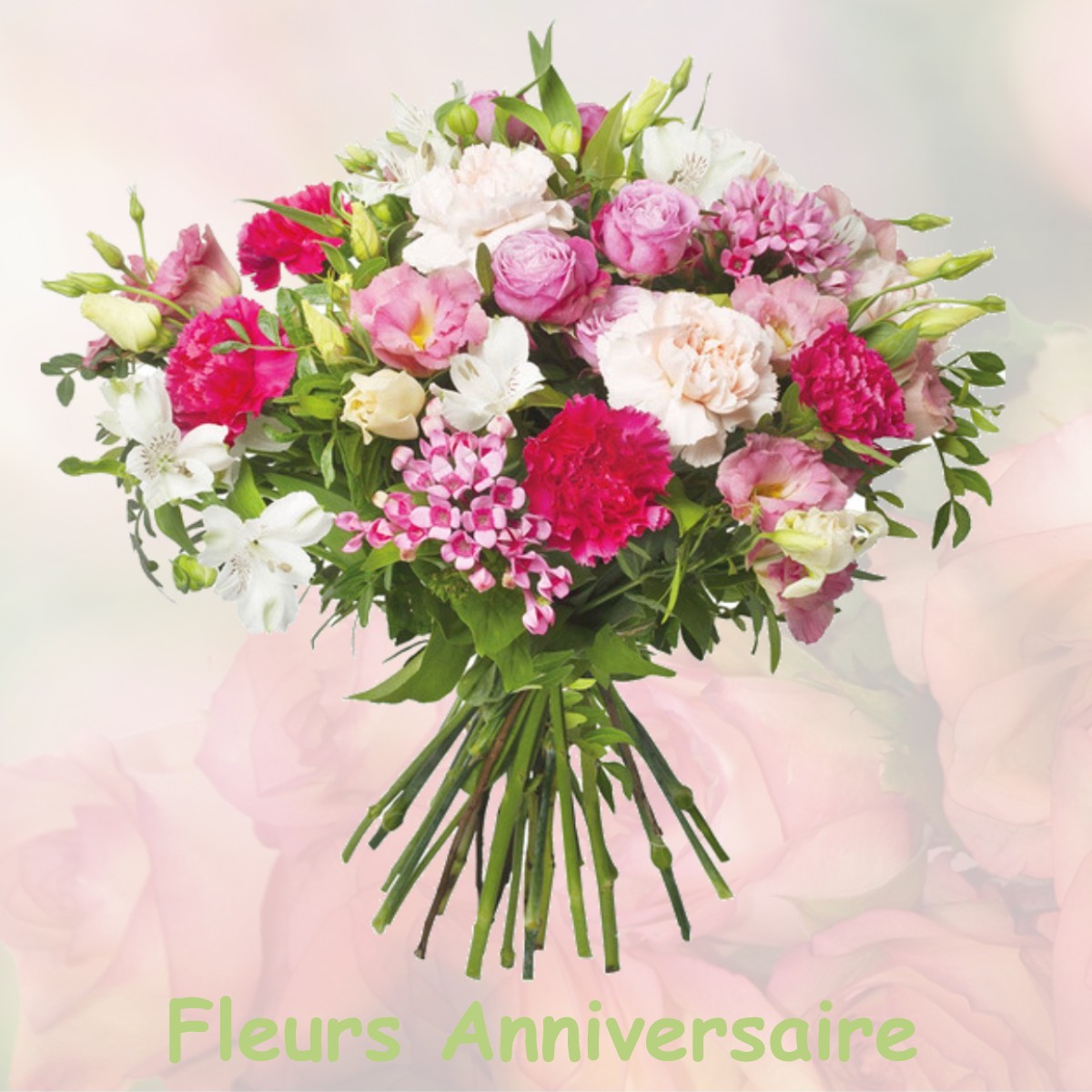 fleurs anniversaire MONNETIER-MORNEX